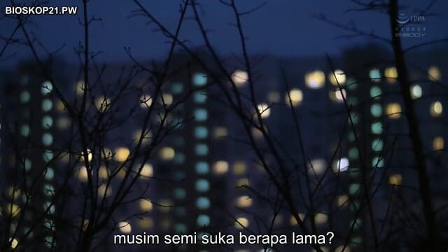 Japanese Indonesia full 01